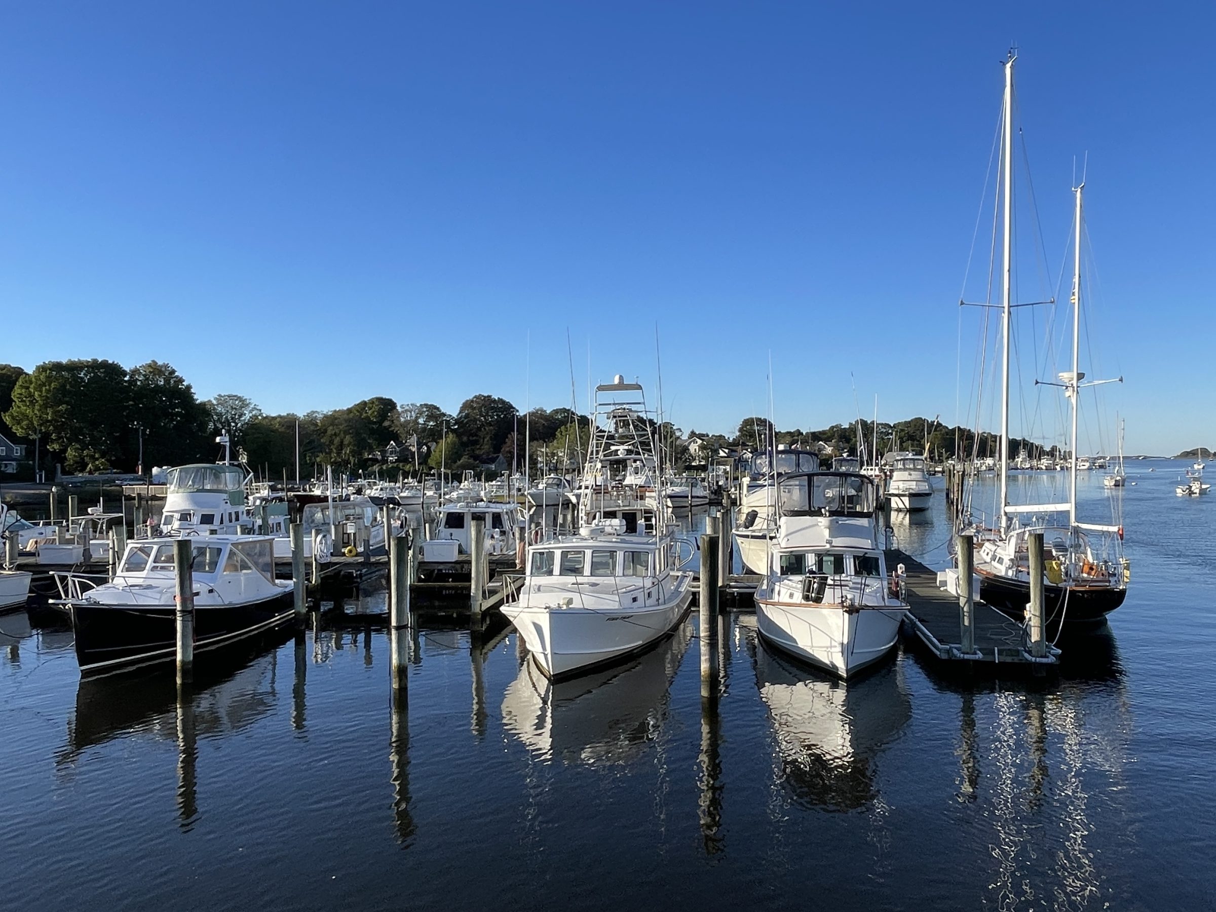 Sailboats on moorings in the Frank Hall Boat Yard mooring field